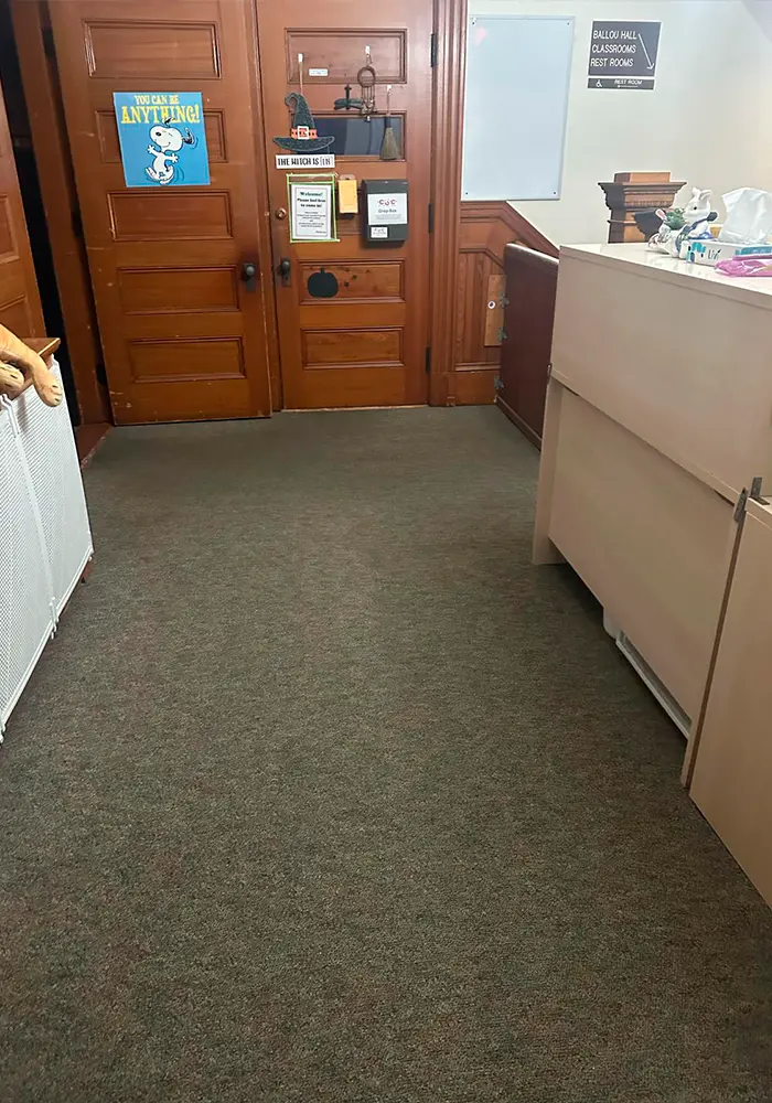 image-carpet-cleaning-02