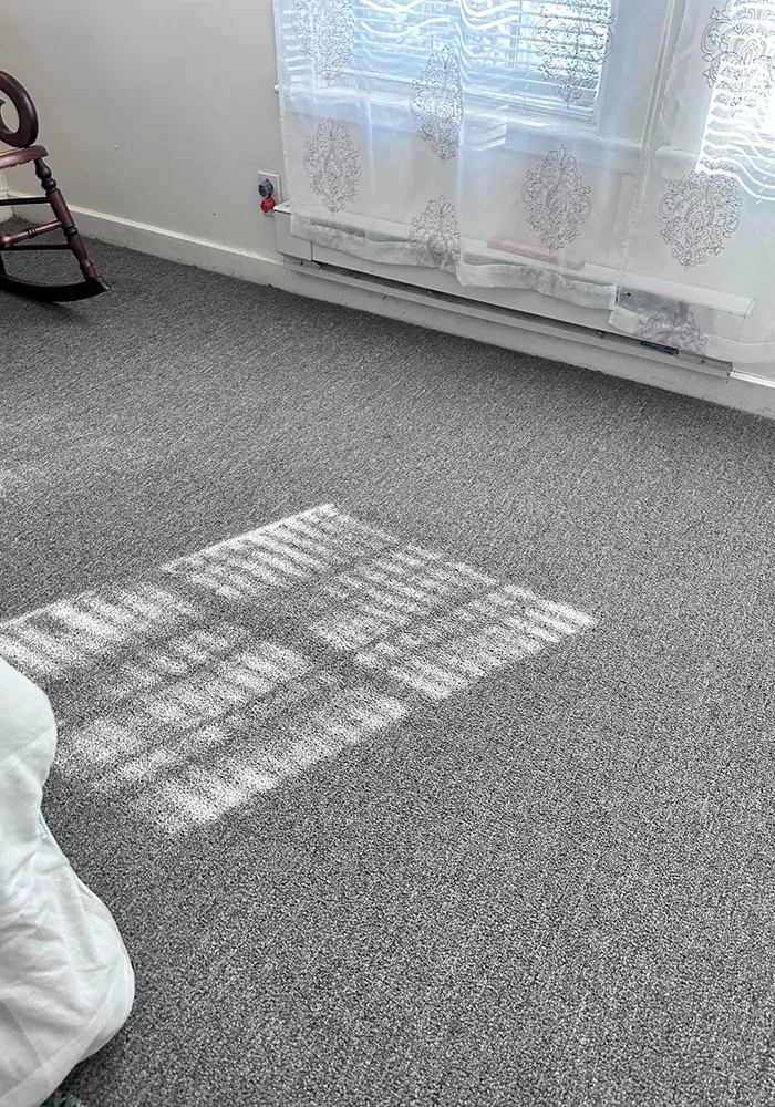 image-carpet-cleaning-05